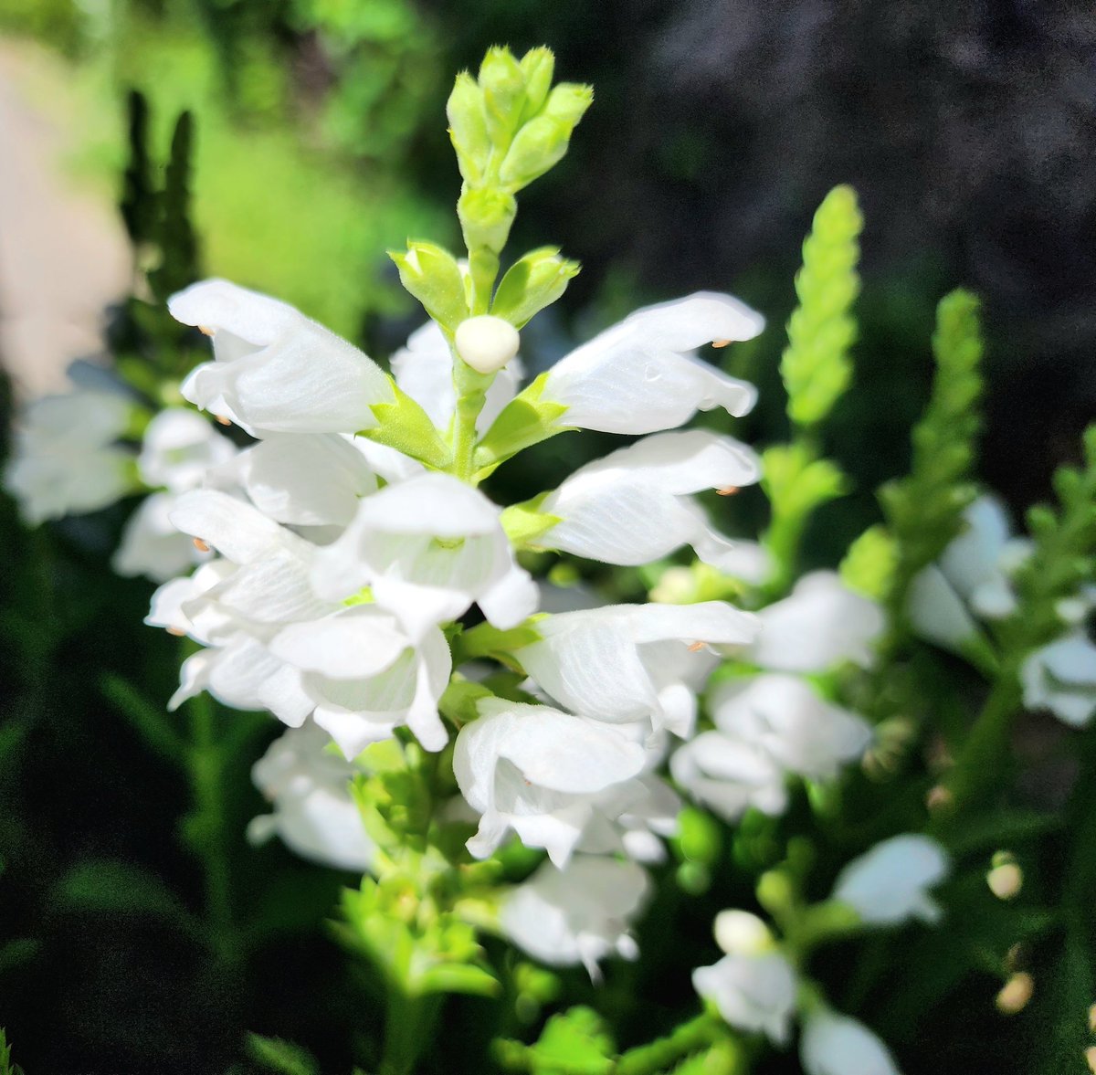 おはよーございます👋😆

今日は自分の身体の
メンテナンスのため仕事は休み
若い先生だけど丁寧に聞いて
治療にあたってくれる😀

蒸し暑いから熱中症対策しっかりと🥤

ニコッと笑顔で
きょうもよろしくお願いします🤗