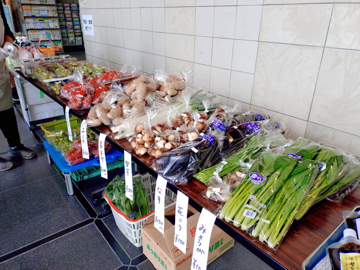 多肉植物専門店 ✾Haru春✾ (@HaruHaru230422) / Posts / X