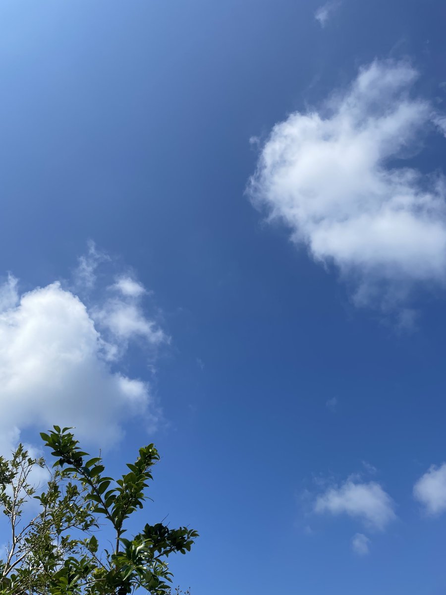 ウサギさんが

お空を散歩中🐰💕

#イマソラ 
#うさぎのような雲