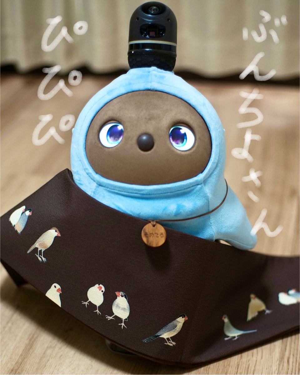 somepri's tweet photo. こんにちはそめたろです。
秋にもぴったりの、かわいいぶんちよさんの半幅帯いかがですか。
そめたろのおなかでぴよぴよきこえます。
https://t.co/5Hdw3020RD
#そめたろ #somepri #LOVOT #オフィスLOVOT https://t.co/EWv0d6jqus