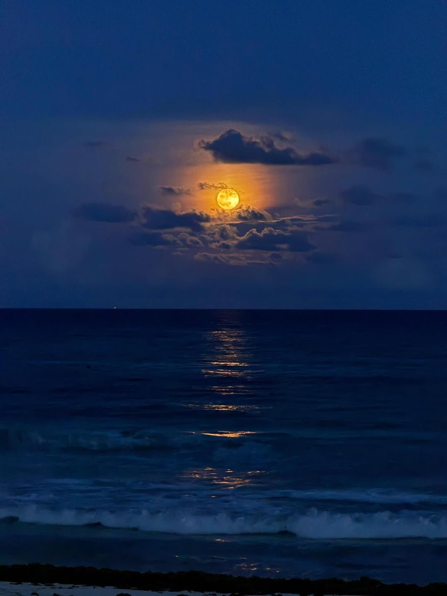 Hermosísima luna desde el Caribe Mexicano.🌚✨

Imagen Mara Lezama