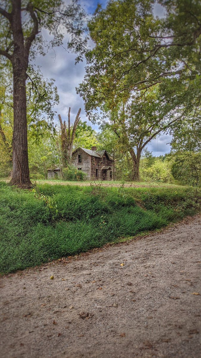 forgotten_south's tweet image. 