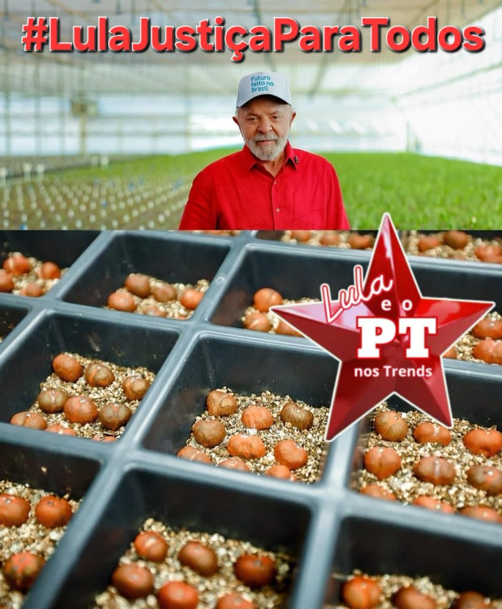 <a href="/Opssou13/">Paraguassu</a> <a href="/DOMINGOSBM/">DOMINGOS BRAGA MOTA 1⃣3⃣</a> <a href="/py3du/">Colossi Py3du🖖🚩🇧🇷.....</a> <a href="/DeniseEseusPets/">Denise e seus pets 🐱🐶🌵</a> <a href="/EdsonCerejeira/">edsoncerejeira</a> <a href="/OtiliaFdeMoura/">🚩Resistir é Preciso🚩</a> <a href="/Marcelo33594398/">Marcelo Machado - Sempre do lado certo.</a> <a href="/SgYvan/">Ivan BAHÊACITY🇧🇷💙❤️🤍</a> <a href="/CELIABA55566176/">CELIA BARBOSA</a> <a href="/CABELO1961/">CABELO🇪🇪</a> <a href="/EuEngajada/">ReginaEuEngajada, 🚩Fascistas NÃO Passarão!</a> <a href="/BrunaoVascao/">Almirante 💢 Da 💢 Colina.💢</a> <a href="/LauraMoschoutis/">Laura Moschoutis 🇧🇷</a> <a href="/Teresin53806529/">Teresinha 🚩🚩🚩</a> <a href="/LFgaspar5/">Lúcia 🚩 🇧🇷🚩</a> <a href="/klebercarioca9/">FRAMENGO ᶜʳᶠ</a> <a href="/SebaStaut/">Seba St</a> <a href="/Nilsonhandebol/">N.H</a> <a href="/NHandebol72173/">NilsonHandebolNews</a> Boa noite!!
Obrigado pela menção 🌟
Seguindo todos SDV RT