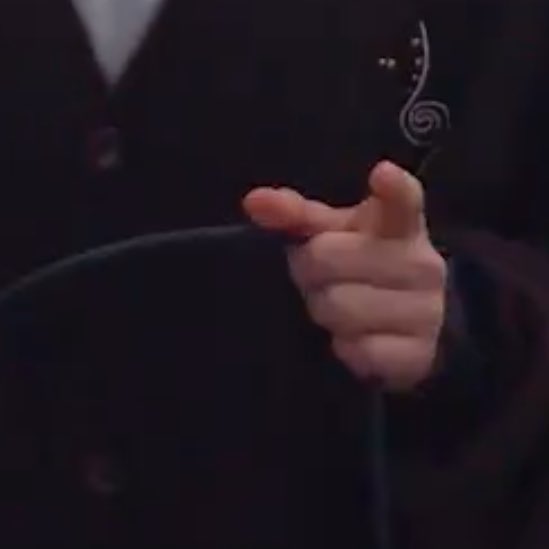 his emotional support microphone cable