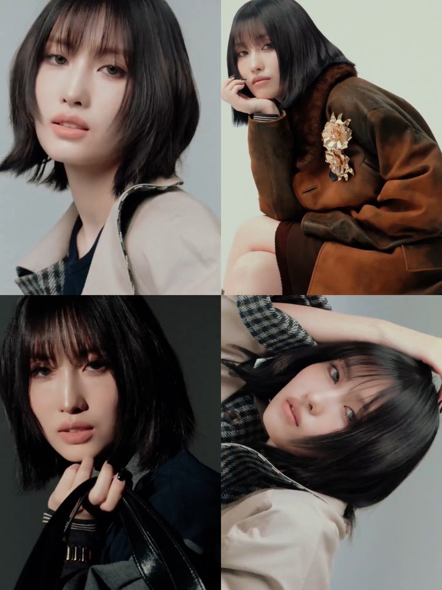 momo tweet media