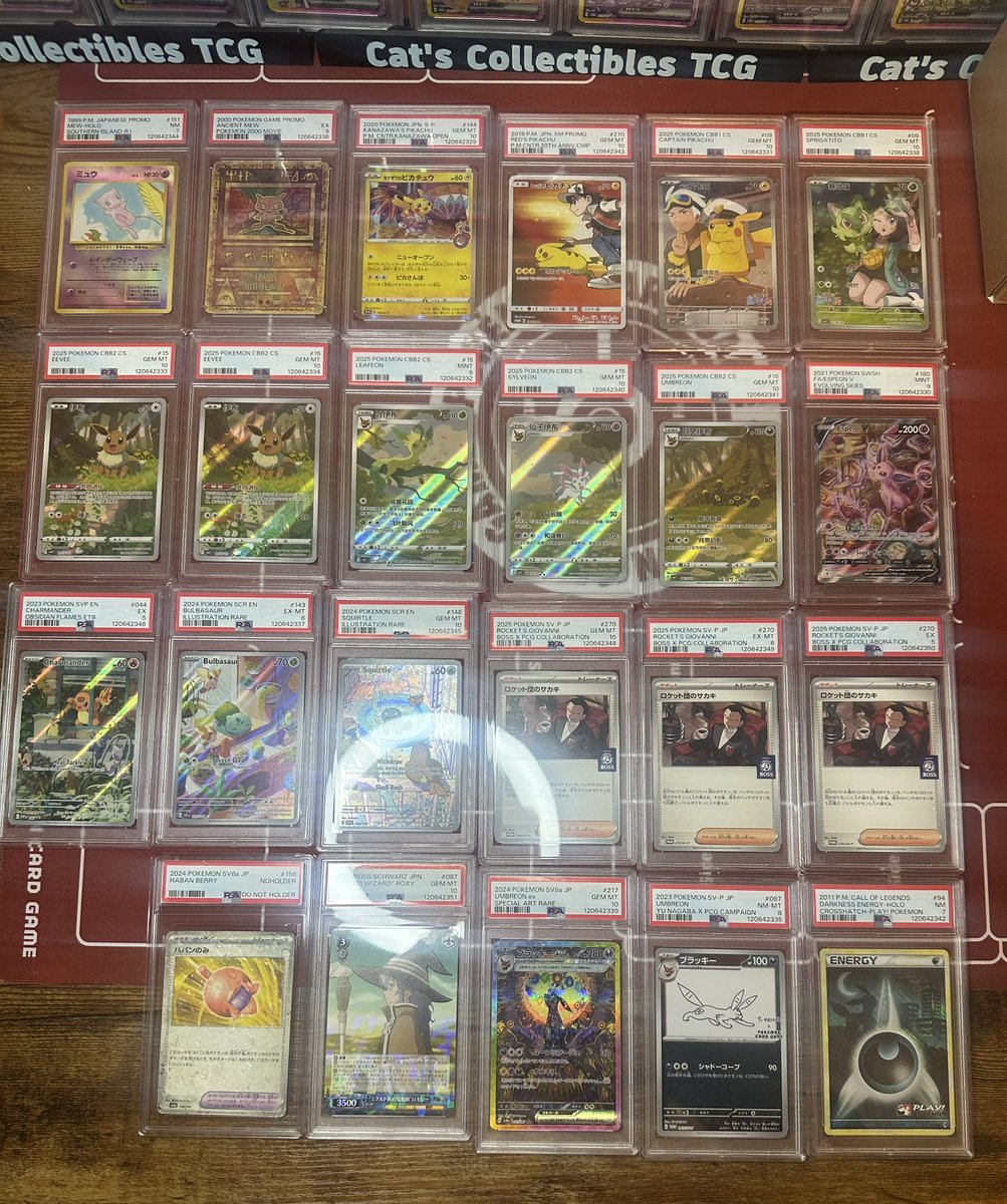 cats collectibles tcg tweet media