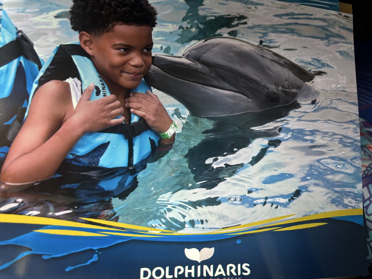 My baby boy got to experience the dolphins 🐬