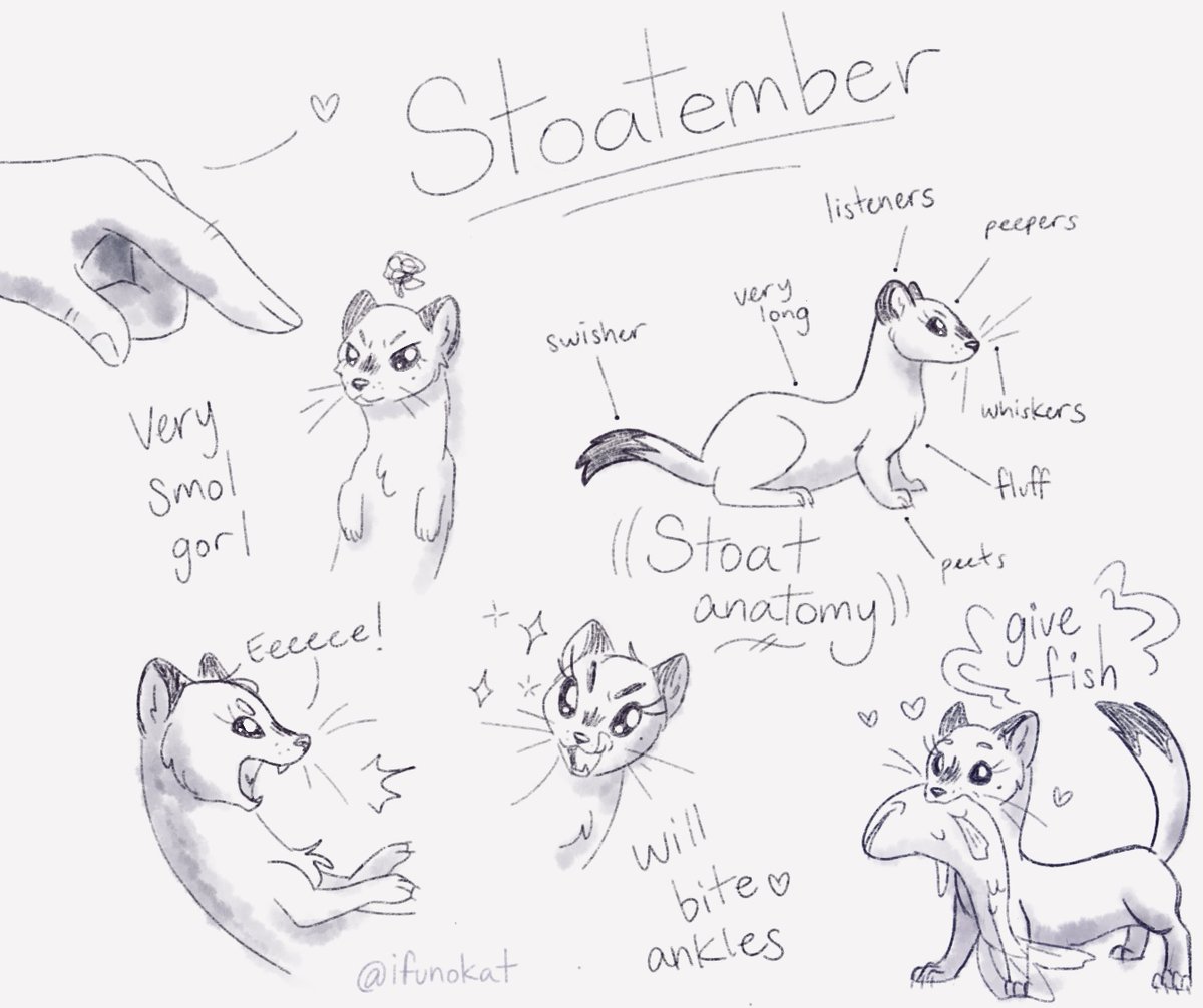 SEBTEMBER IS FOR STOATS- mustelid gang wya!?💜✨
#furryart #stoat