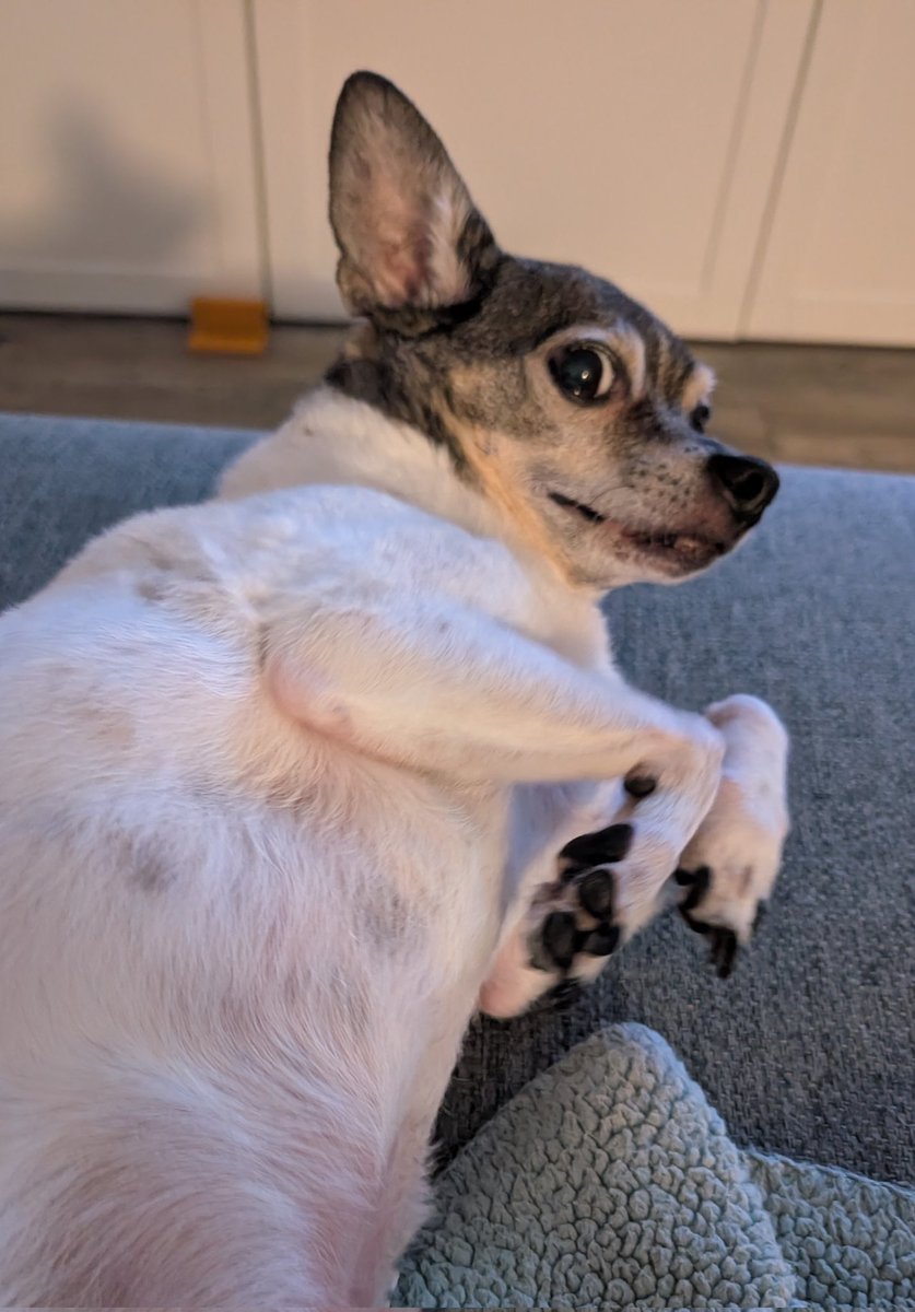 Watching the Jays. Uncertain about it all.