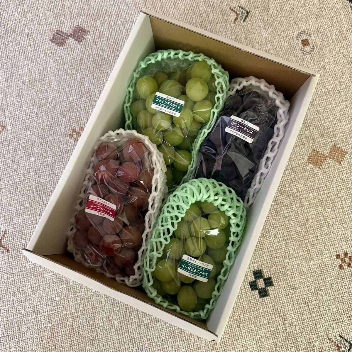 KOKO ♡ すもーるつりー (@smilehottest) / Posts / X