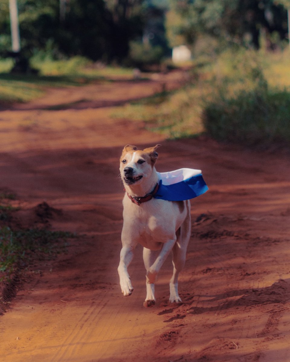 Algo nos une.
La fe, las cábalas, esa esperanza testaruda de que lo imposible, tarde o temprano, llega.
Creímos en el viaje aunque el camino pareciera eterno.
Nos aferramos a los recuerdos, al paisaje, a la espera.
Y hoy, por fin, pasó.
Volvimos al Panteón.
Volvimos a festejar