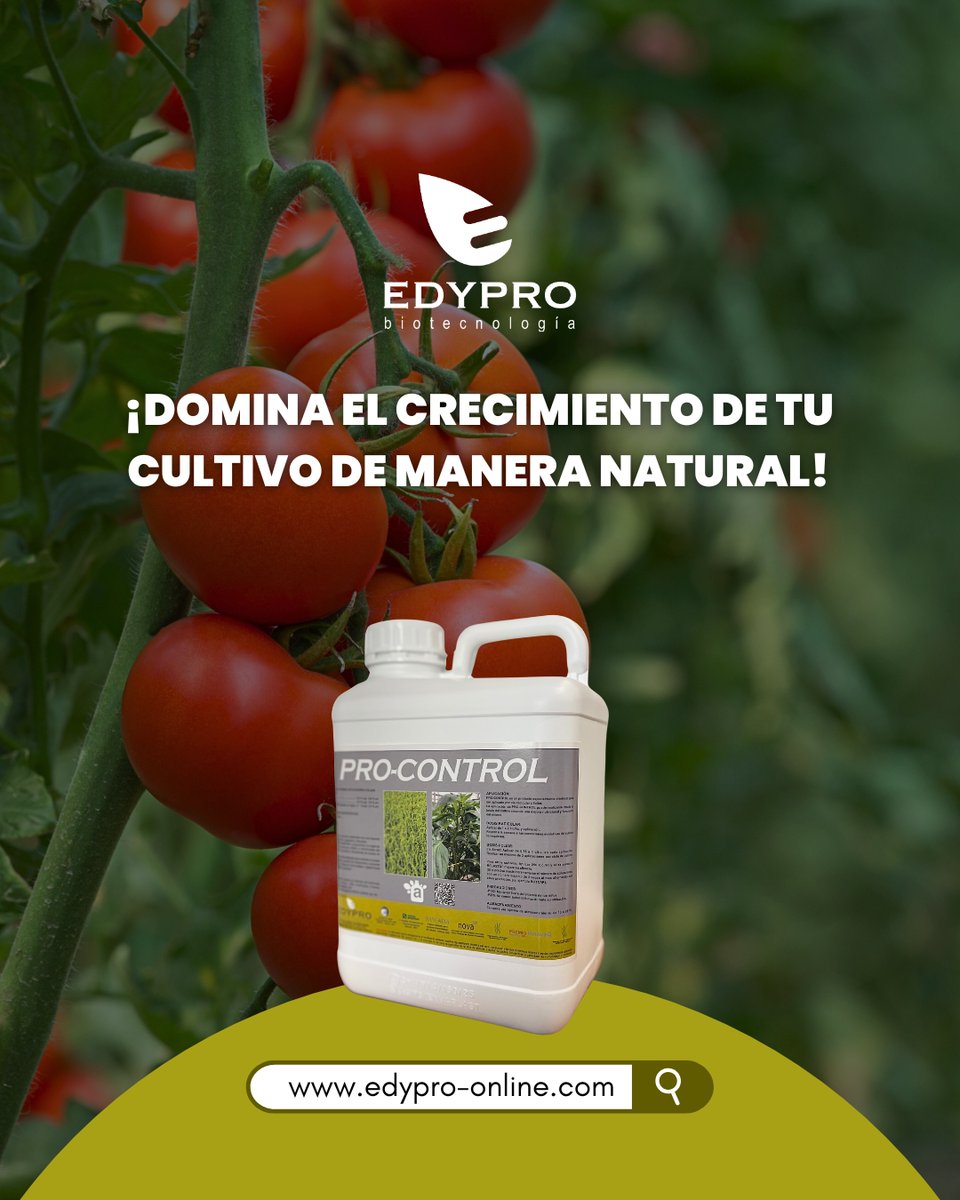 EDYPRObiotec's tweet image. 🌿 ¿Exceso de vigor? Con PRO‑CONTROL equilibras crecimiento y producción sin residuos. Precisión biotecnológica para un cultivo fuerte y productivo.

#EDYPRO #ProControl #AgriculturaSinResiduos #CultivoEquilibrado