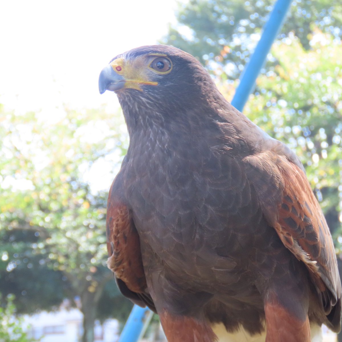 ←これが　　こう→