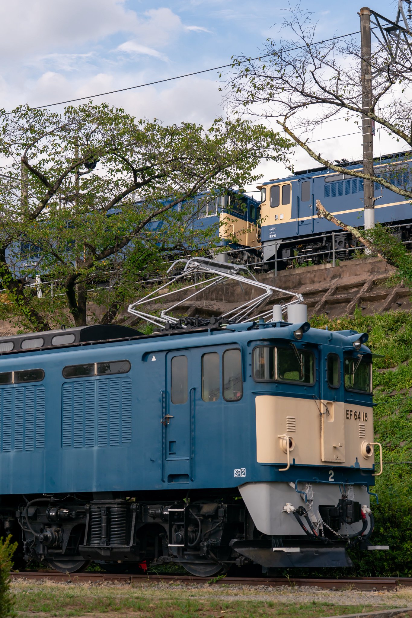 リリース大臣 10YASHOW10 都内より匿名迅速配送 リリース大臣 10YASHOW10 都内より匿名迅速配送 ゴルフ