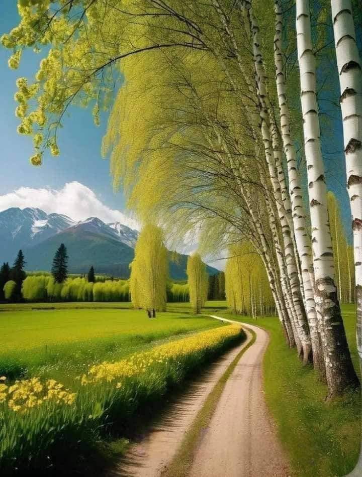 Beauty of Earth (@humansvisual) on Twitter photo 