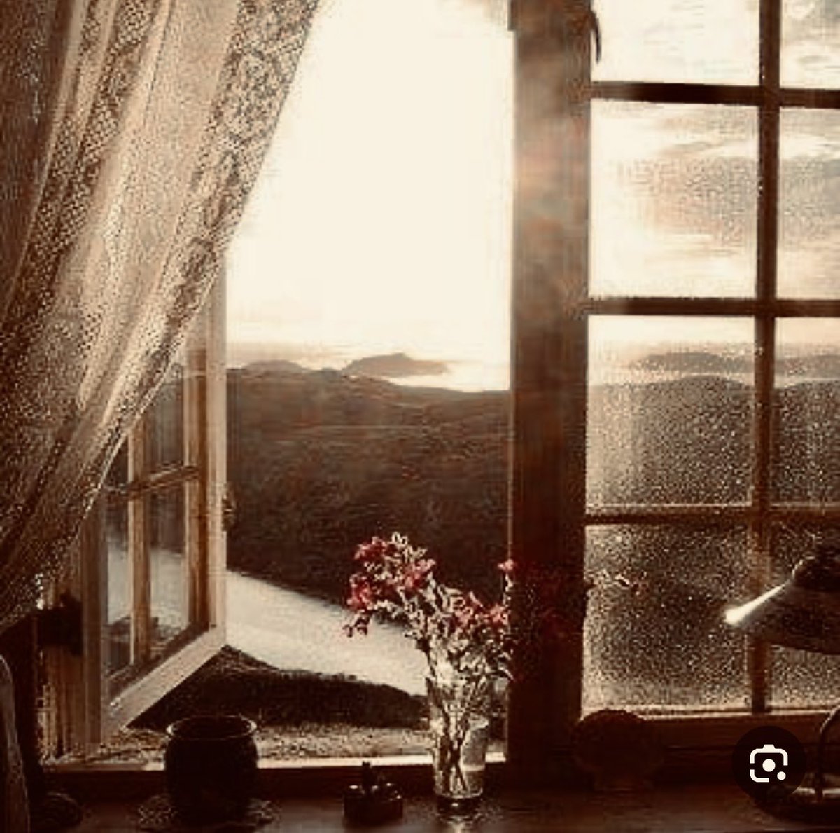 And in the heart of the darkness there remains a window that resists !

🤍💎