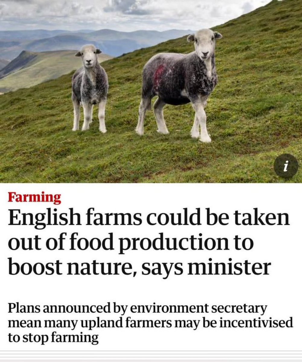 The Labour government’s war on farming continues.