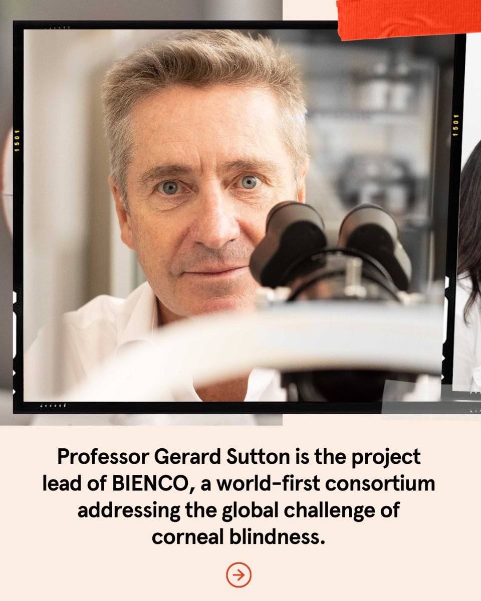 syd_health's tweet photo. Around 30 million people need corneal transplants but only 1 in 70 receive a donor cornea. Prof Gerard Sutton &amp; the BIENCO consortium are tackling this challenge by developing bioengineered corneal replacement tissue to restore sight at scale.

Learn more: https://t.co/Ta24KFW9p3 https://t.co/Q5cIor2oN5