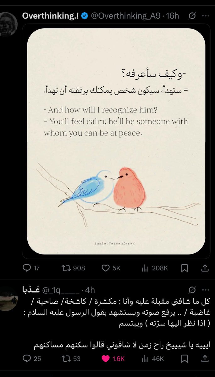 OHOUD✨🪽 tweet media