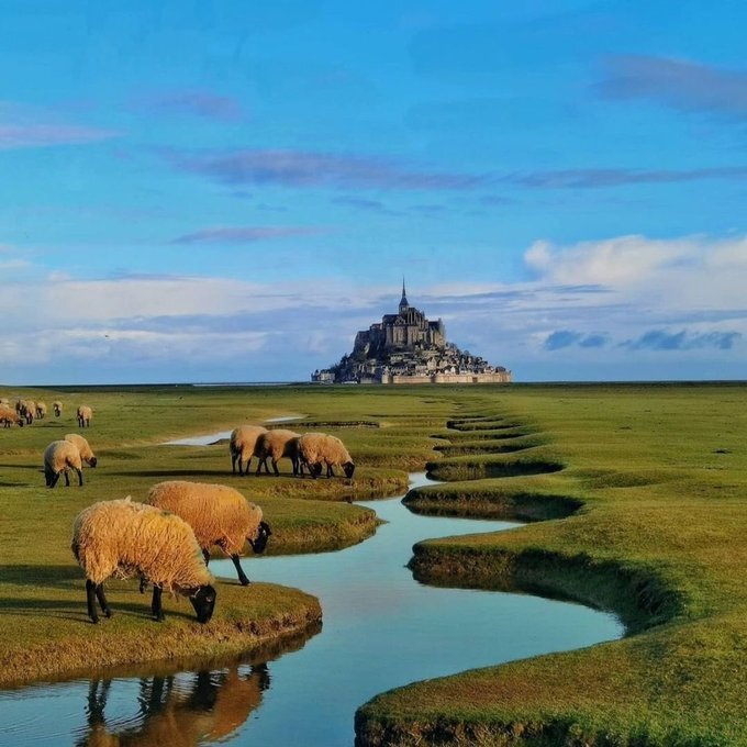 🇫🇷 Très belle vue sur le Mont-Saint-Michel ! Très belle journée à tous ! 🐑🍀 

📸 paulleven