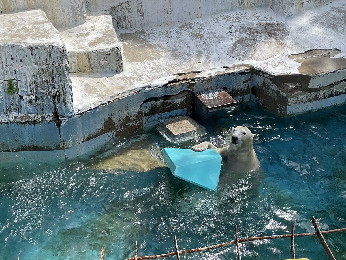 天王寺動物園様から感謝状をいただきました✨ いつも本当にありがとう