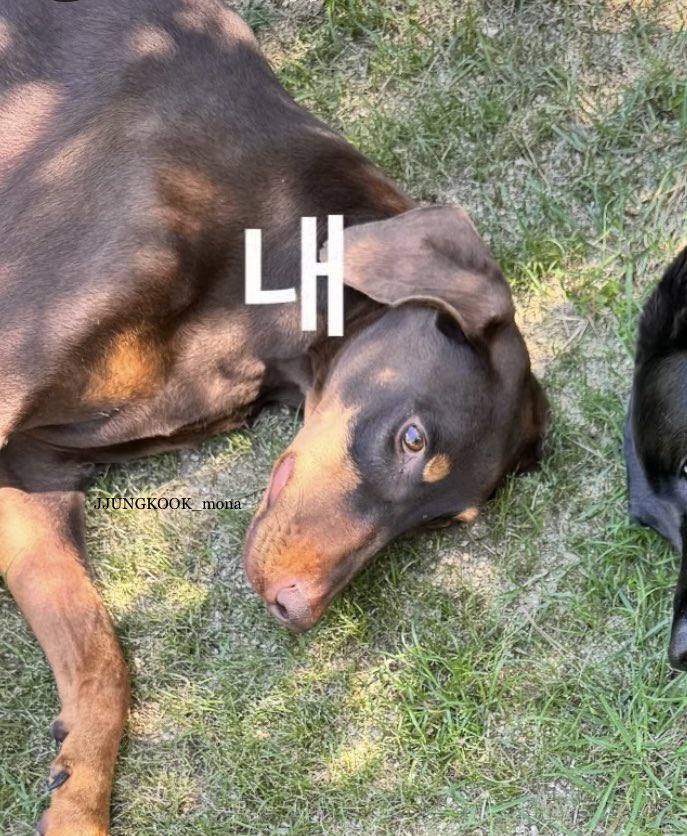 밤이야🥹💜 귀여워ㅠㅠㅠㅠㅠㅠㅠㅠ