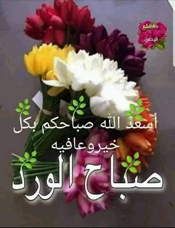 للصبـاح جمالٌ مميز
و حضور مختلف 
لا يمنح سرَّه الصباح إلا لمن يُحسن استقباله 
و يحتويه بتفاؤل 
ويبتعد عن كل ما يُكدر المزاج فيه 
فإذا طابَ الصباحُ طابَ سائرُ اليوم 
صباح السلام لكل المبتسمين في وجه الحياه.💐💐

               🌹  صباح الخير  🌹