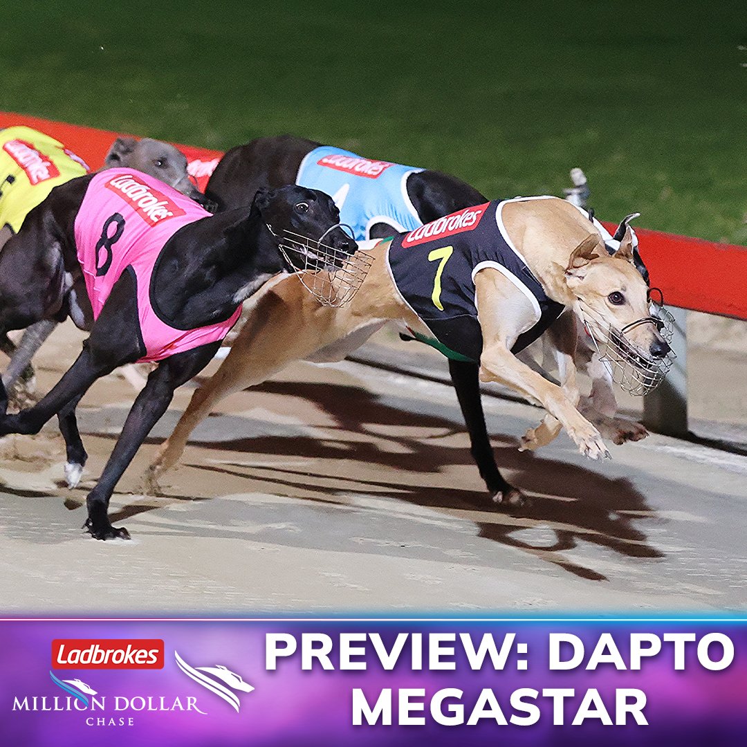 The Dogs tweet media