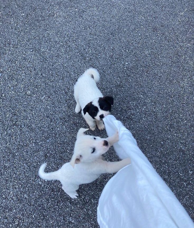 날씨너무좋아

나가자!