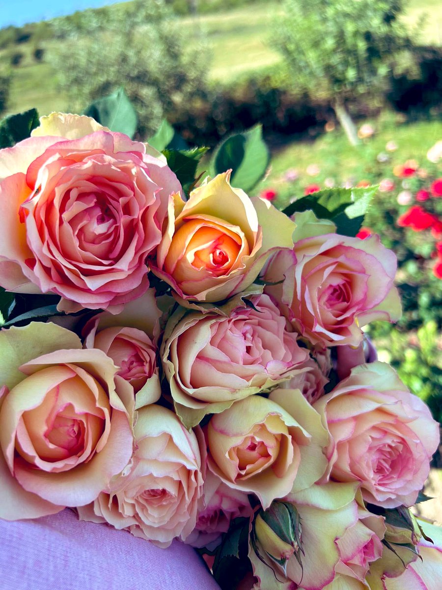 🌞🌸 Good morning, friends! 🌸🌞

Today, both Mr. &amp; Mrs. Flower Show are off to the office. 🌼💼

The question is… who do you think is less happy about it? 😅

👉 Mr. Flower Show, dragging his feet and wishing for one more cup of coffee? ☕
👉 Or Mrs. Flower Show, already