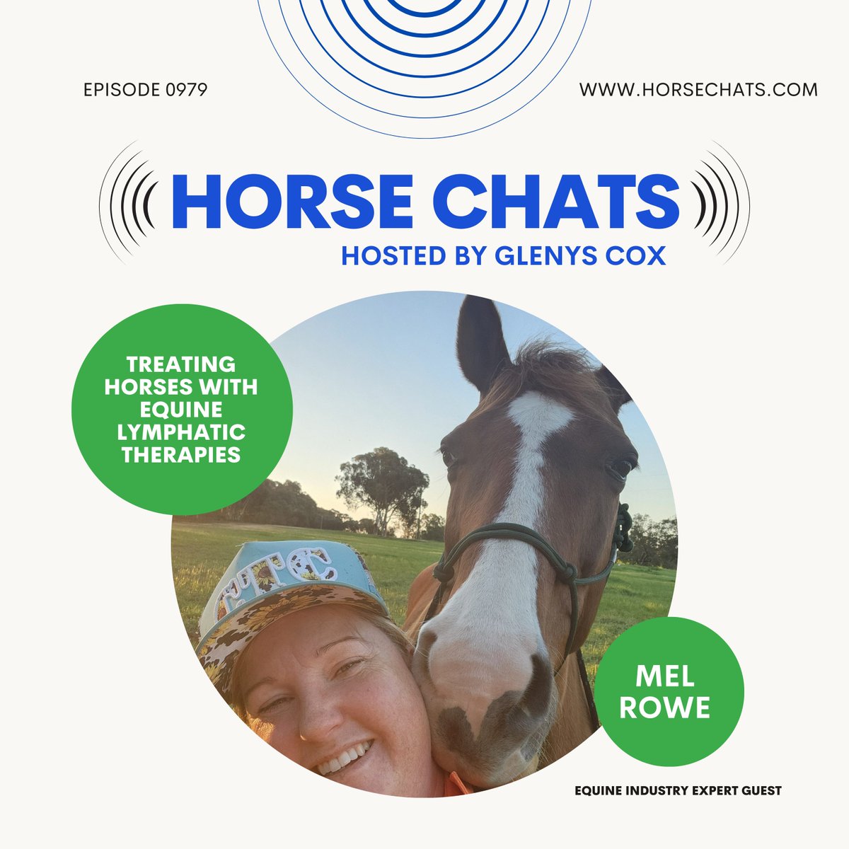 Ever heard of equine lymphatic drainage? 

On Horse Chats, Mel Rowe shares how supporting the lymphatic system can fast-track recovery, comfort sensitive horses &amp; boost overall health.

🎧 Watch now: youtu.be/Vvv3peH3YB4

#HorseChats #EquineCare #LymphaticHealth #HorseHealth