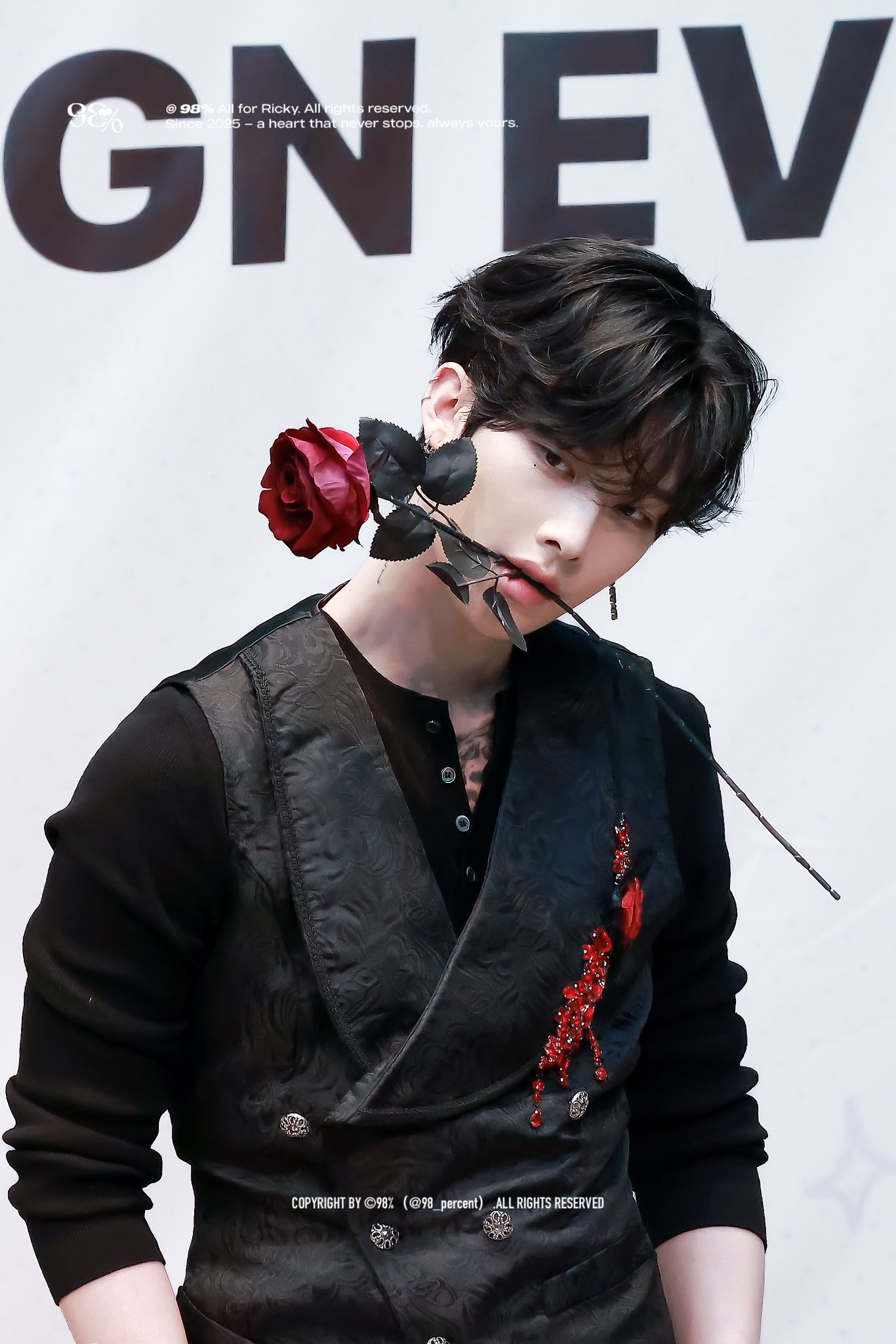 しろめ🐈🌹 on X: 