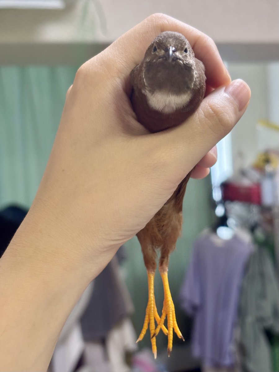 部屋の掃除終わったね