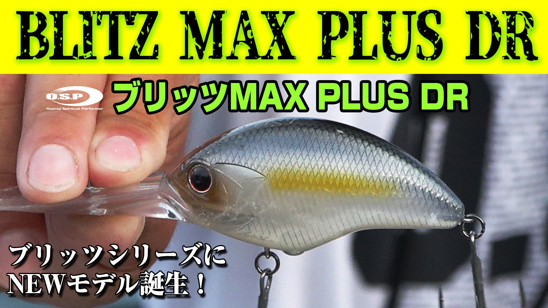 ルウ (@STEEZ_BASS) / X