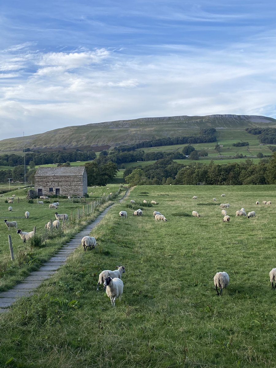 Sue Sibbald tweet media