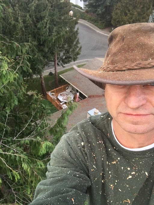 DavisSonsTree's tweet image. Don’t trust crucial work to just anyone! Our tree removal company ensures safe, clean, and efficient removal services for your property’s peace of mind. Call us today! #TreeRemovalCompany
davisandsonstreeservice.com