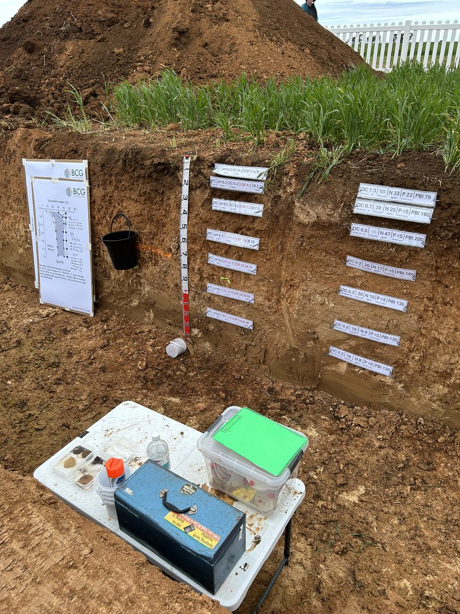 Felicity Harrop tweet media