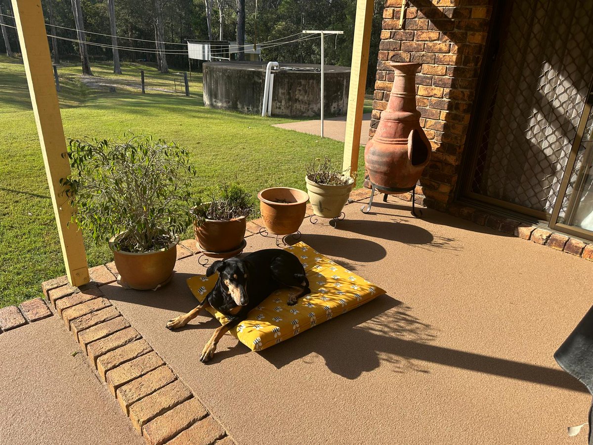 Sic Surface Australia tweet media