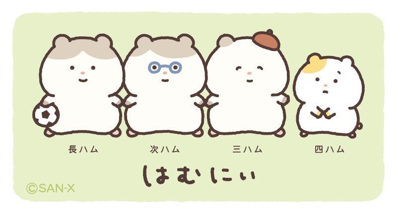 h_pp56c tweet picture