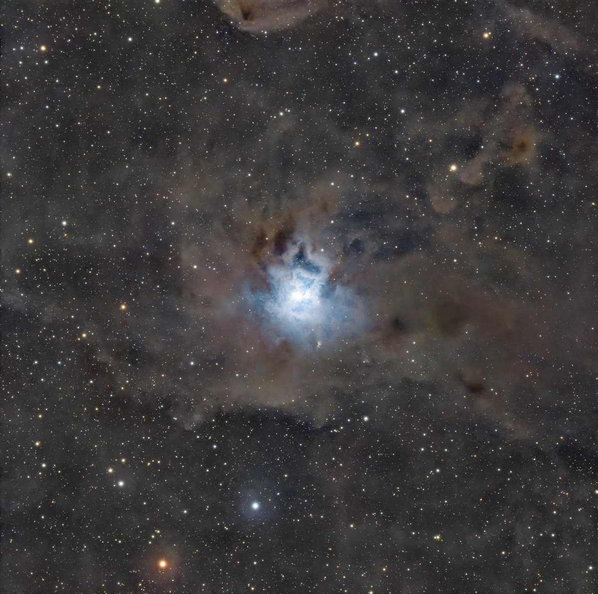 Fr. Darryl Millette tweet media