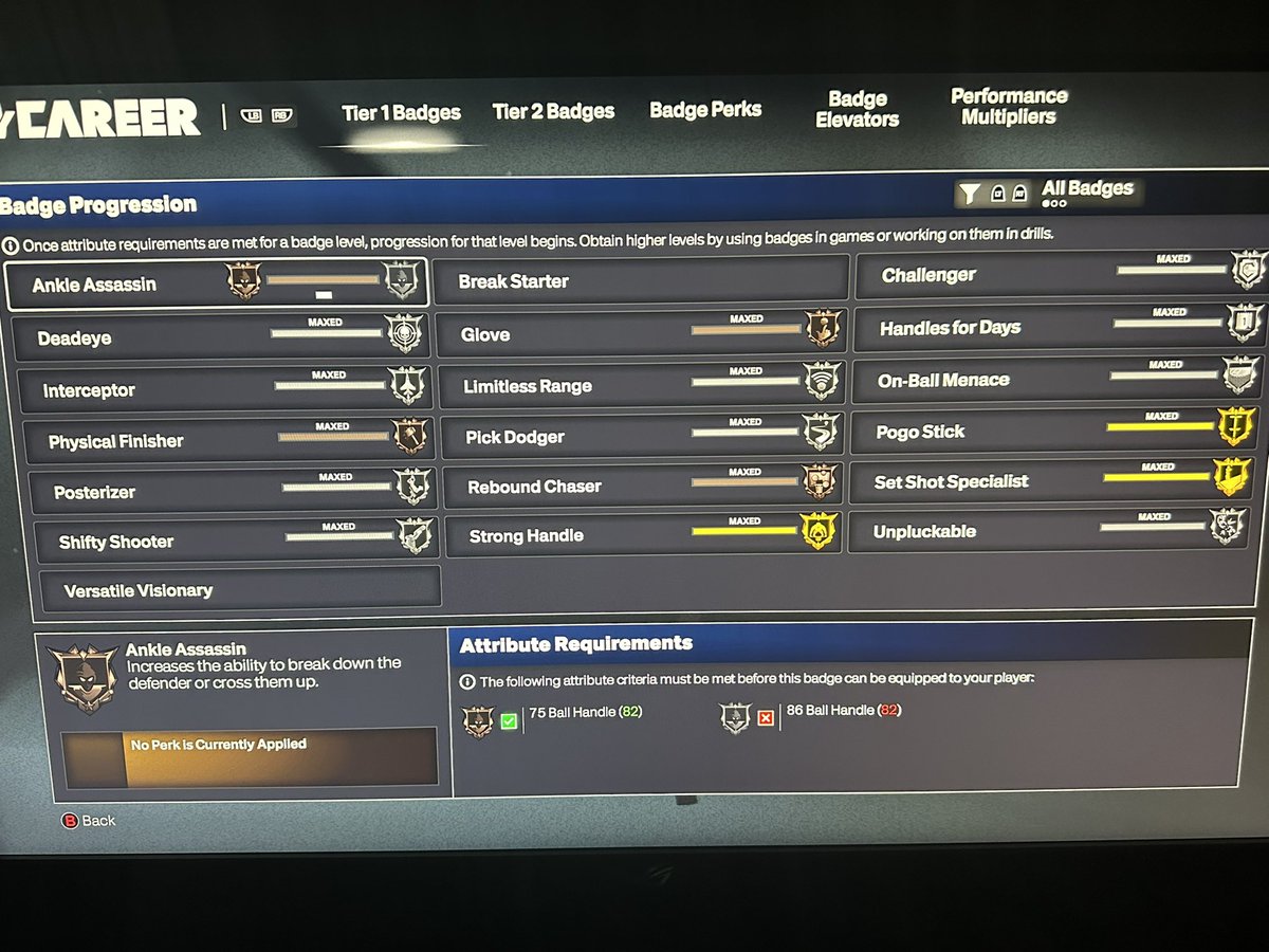 Revenant_rS_'s tweet photo. Badge order done #NBA2K26 https://t.co/QiOjvex2HT