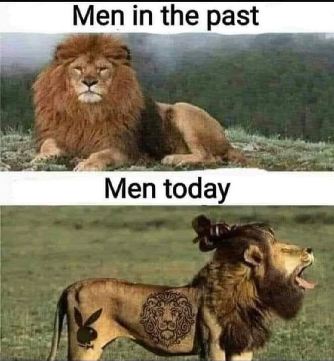 SBMemesDaily's tweet photo. The Evolution of Men Must Be Studied! #SBMemes #Memes #memesdaily https://t.co/UMLepyeguZ