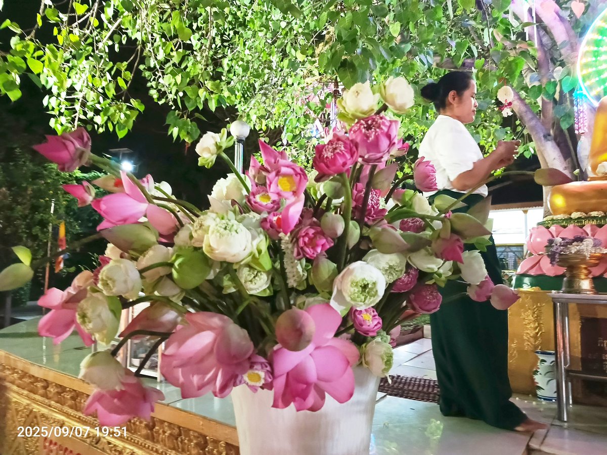 sokpoline's tweet photo. ធ្វើបុណ្យទាន់នៅក្មេង កុំចាំដល់ចាស់ ប្រយ័ត្នទៅមុនចាស់ https://t.co/O9GQ95EEIg