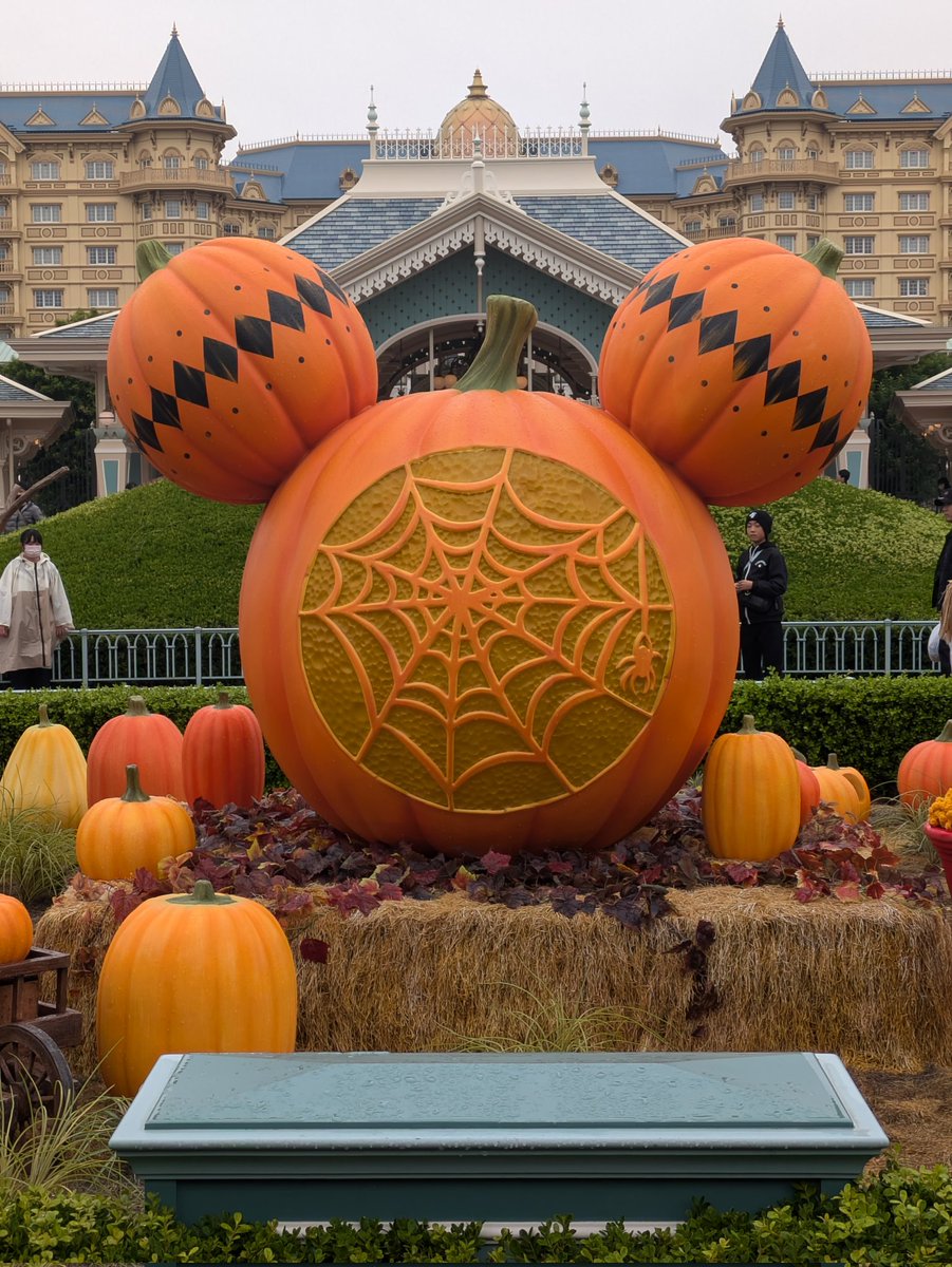 crazy_max52's tweet photo. エックスのニックネームがパンプ筋🎃だからか、ディズニーランドが好きだからか、フレンジーパレードが好き過ぎるからか、ディズニーランドに行きたくてウズウズしてきた😆
ちなみにトイレに100均で寄せ集めたオブジェ？も飾りました🎃👻🏚️ https://t.co/AiKuDKy7vq