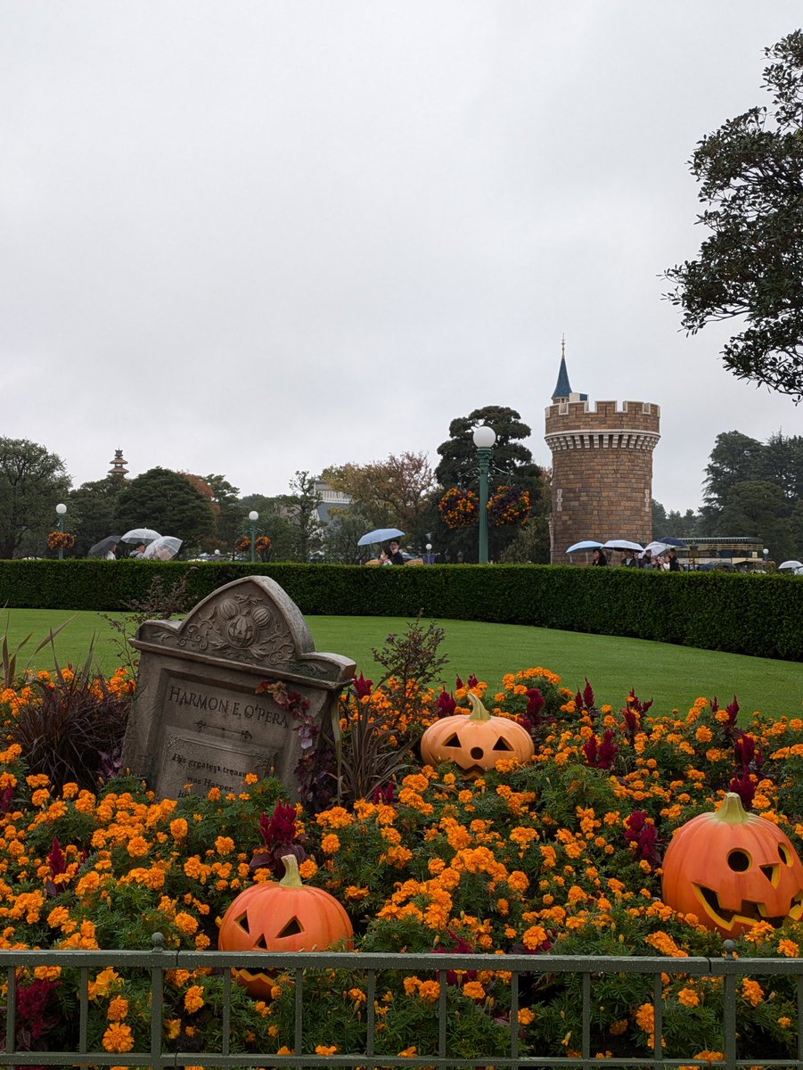 crazy_max52's tweet photo. エックスのニックネームがパンプ筋🎃だからか、ディズニーランドが好きだからか、フレンジーパレードが好き過ぎるからか、ディズニーランドに行きたくてウズウズしてきた😆
ちなみにトイレに100均で寄せ集めたオブジェ？も飾りました🎃👻🏚️ https://t.co/AiKuDKy7vq