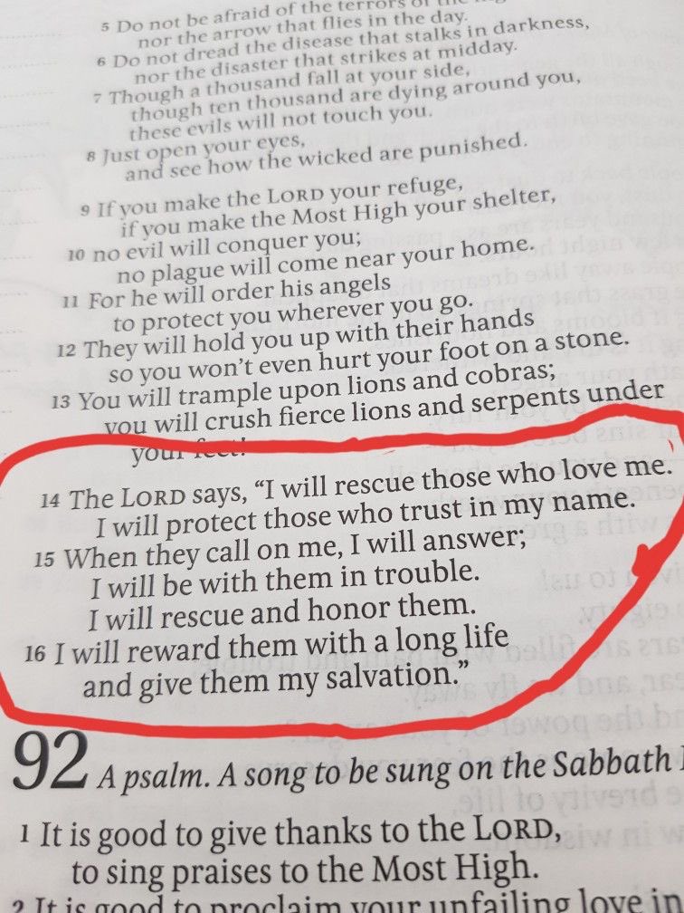 Holy Bible (@holy__bible1) on Twitter photo 