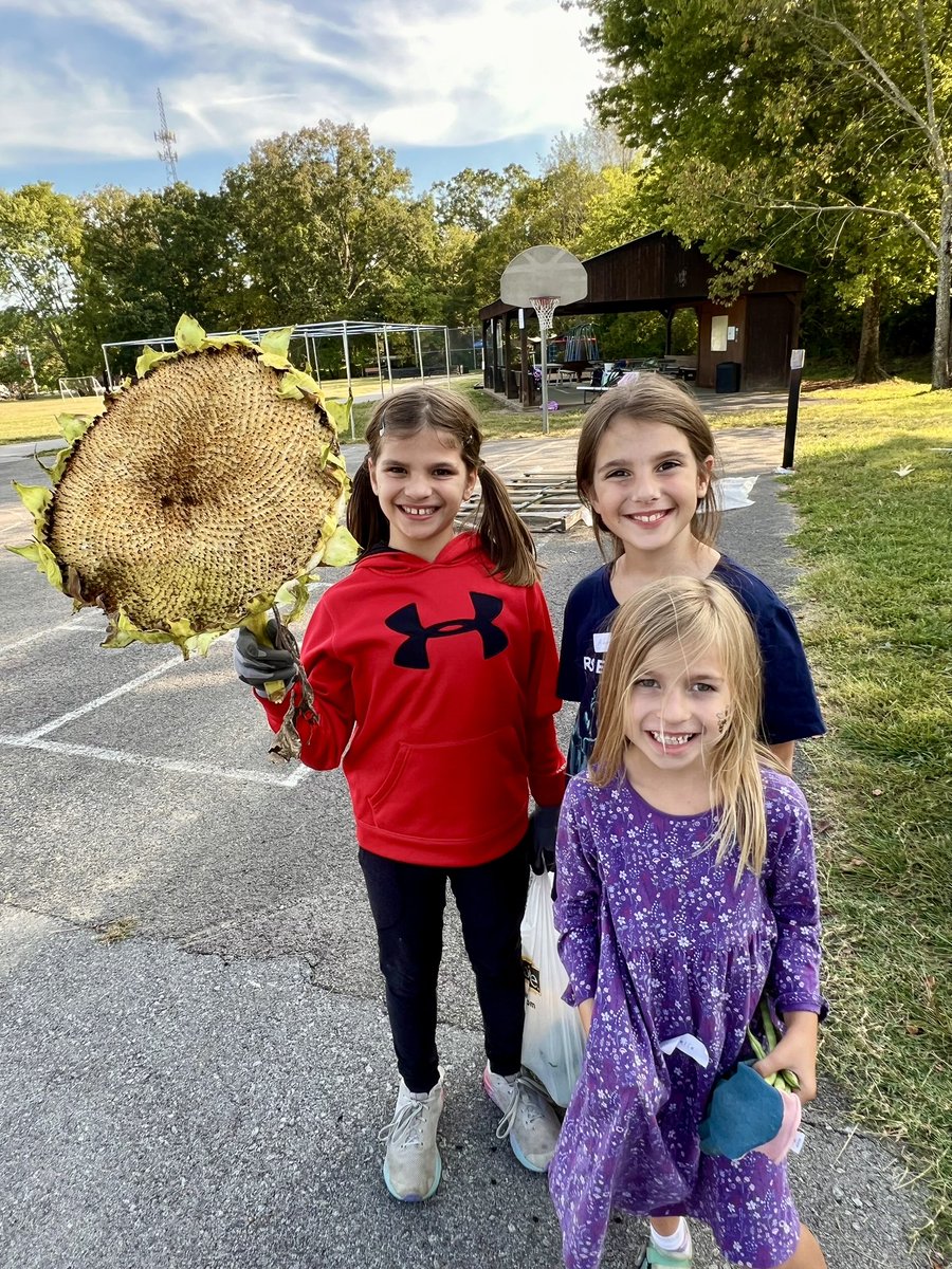 Melissa Poloskey tweet media