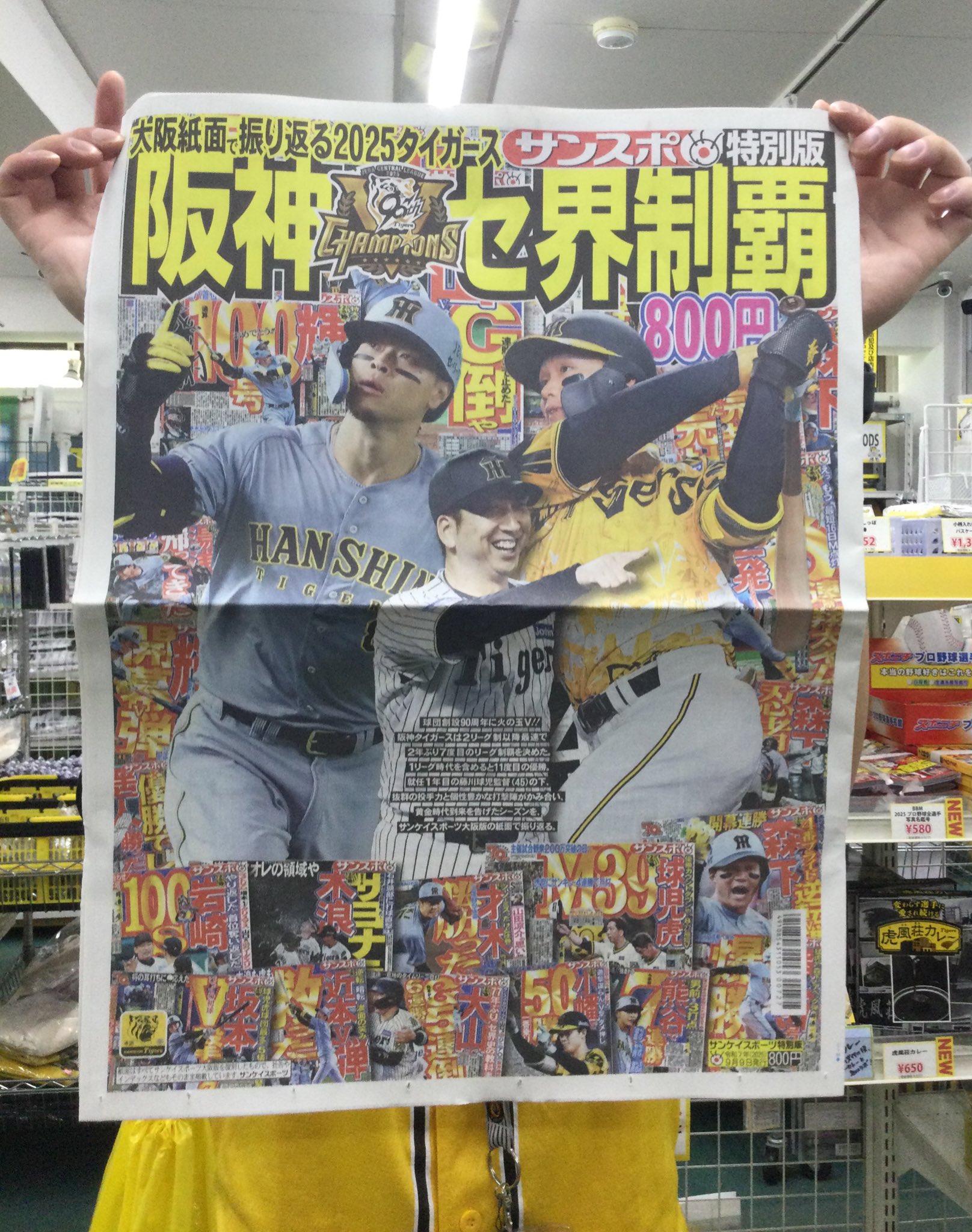 ☆ロッキー田中 第33作 黄金の海 81/500 A3サイズ 額付き
