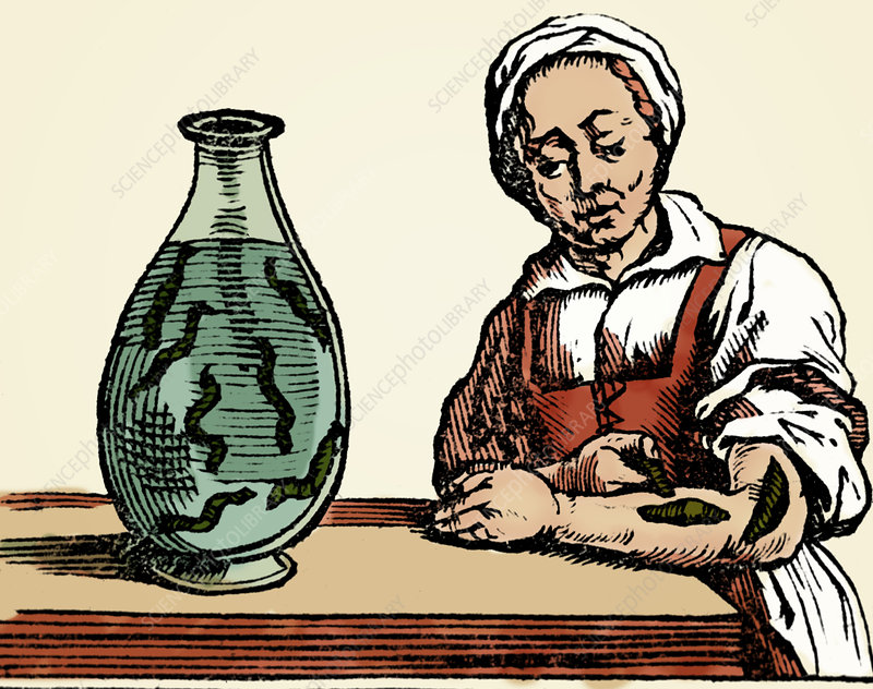 RFK Jr. has announced autism and school shooting are caused by an "imbalance of humors in the body" and "too much blood" and has vowed HHS will send a jar of leeches to every family with children in America