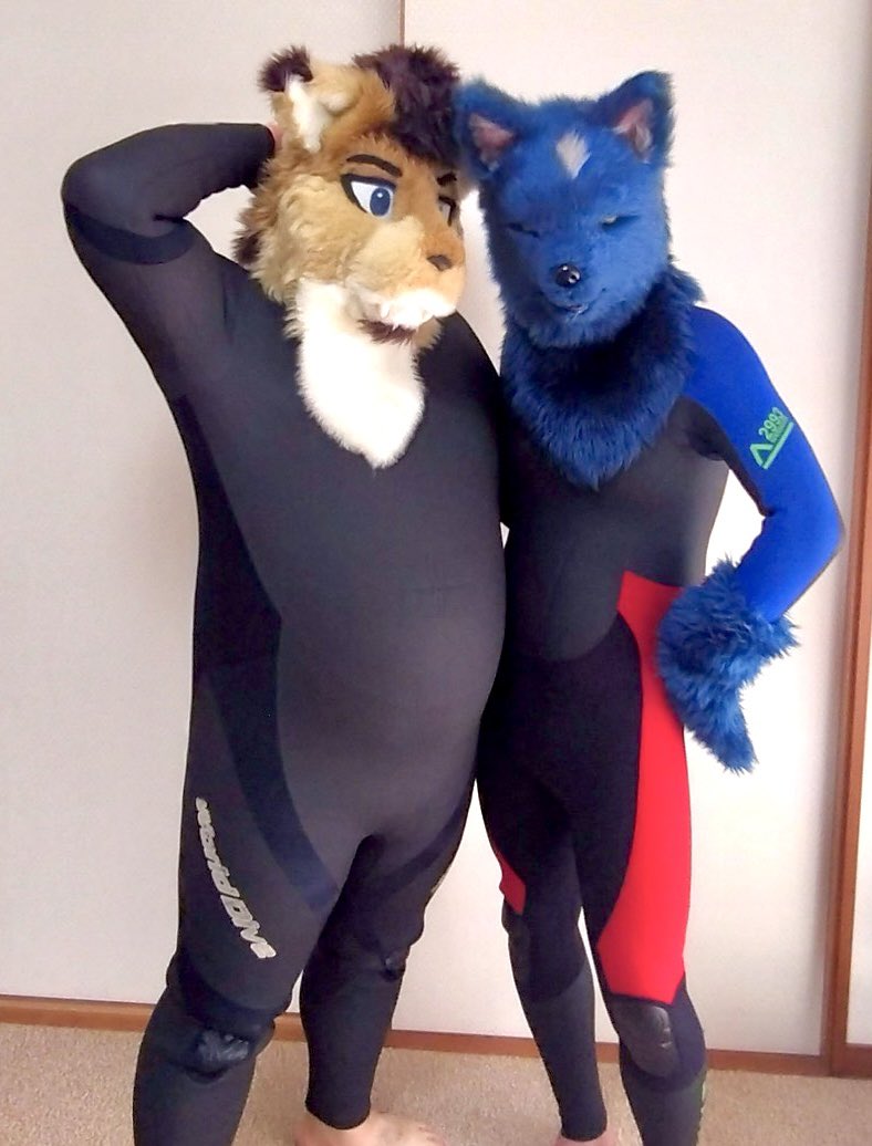 #wetsuitwednesday
#wetsuitfur

ウェットスーツのカタログ撮影みたい！
🐺🔵(<a href="/skylinefromrb25/">ライガル</a>)